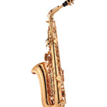 Conn AS650 Alto Saxophone