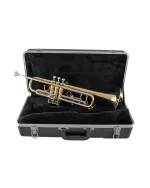 Bach Trumpet in Bb BTR201