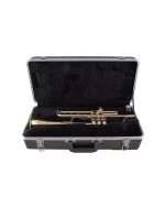 Bach Trumpet in Bb BTR201