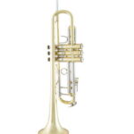 Bach Stradivarius Trumpet in Bb 19037