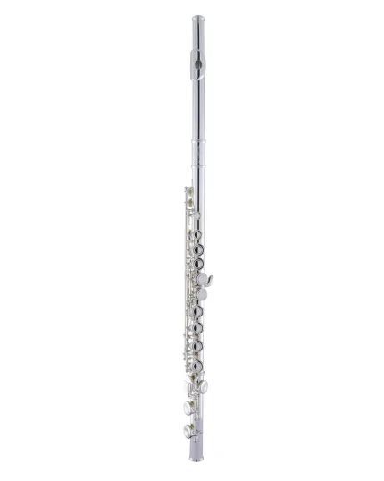 Armstrong Concert Flute in C AFL201