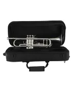 Bach Trumpet in Bb BTR211S
