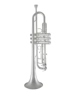 Bach Trumpet in Bb BTR211S