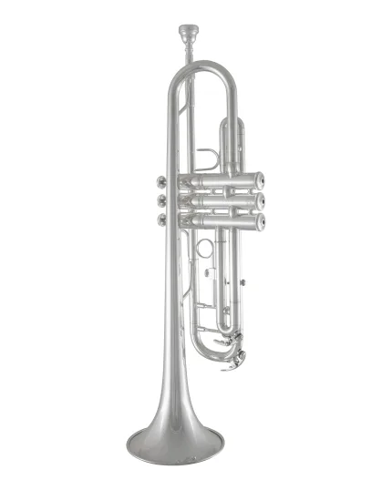 Bach Trumpet in Bb BTR211S