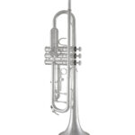 Bach Trumpet in Bb BTR211S