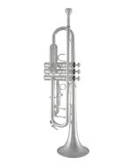 Bach Trumpet in Bb BTR211S