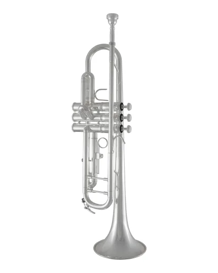 Bach Trumpet in Bb BTR211S