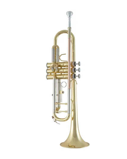 Bach Trumpet in Bb BTR211