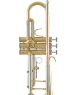 Bach Trumpet in Bb BTR211