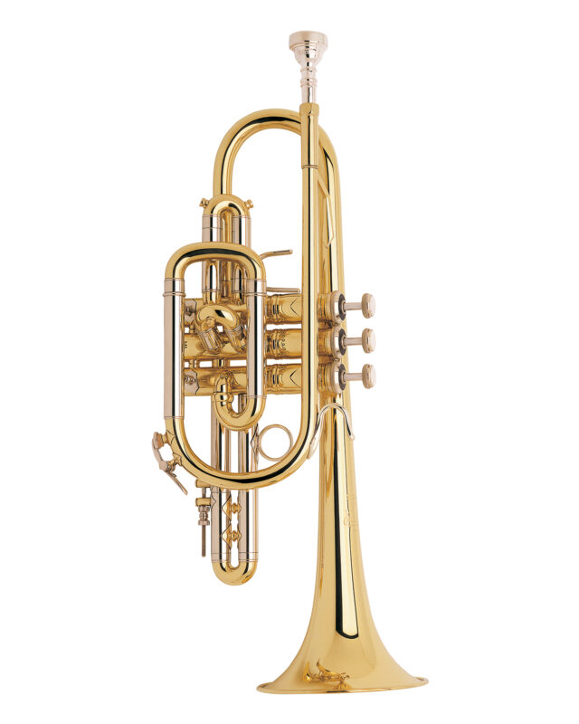 Bach Stradivarius Cornet in Bb 181ML