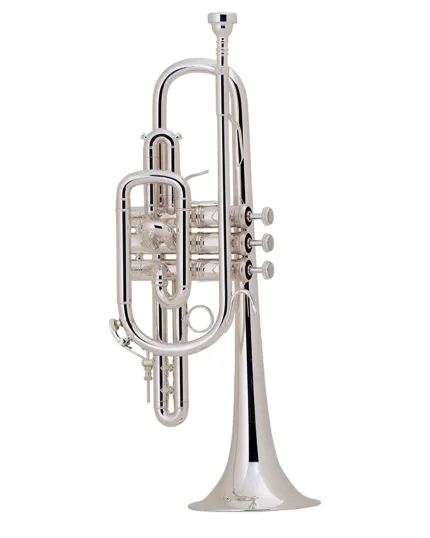 Bach Stradivarius Cornet in Bb 181SML