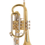 Bach Stradivarius Cornet in Bb 184ML Shepherd's Crook