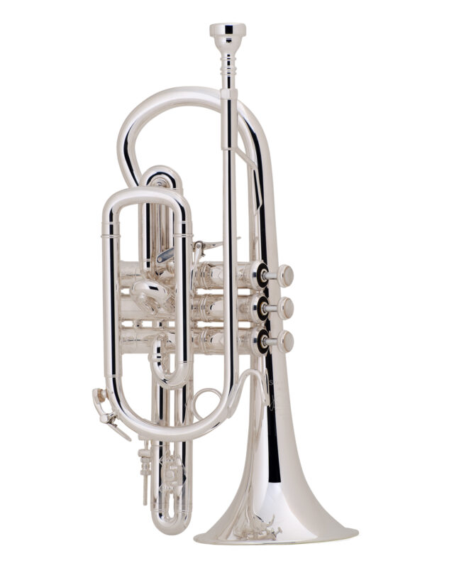 Bach Stradivarius Cornet in Bb 184SML Shepherd's Crook