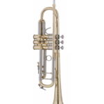 Bach Stradivarius Trumpet in Bb 19043
