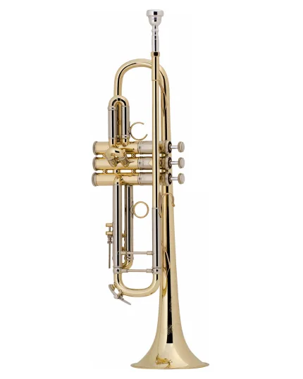Bach Trumpet AB190