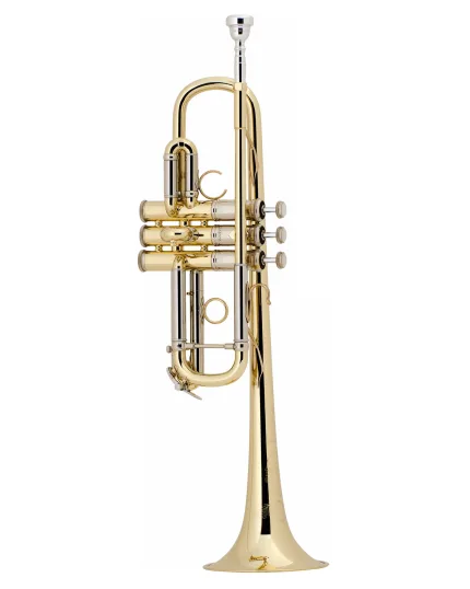 Bach Trumpet AC190