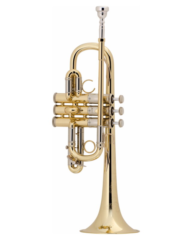 Bach Artisan Trumpet in D/Eb/E AE190 in E flat