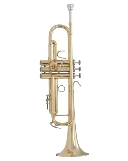 Bach Trumpet LR18037
