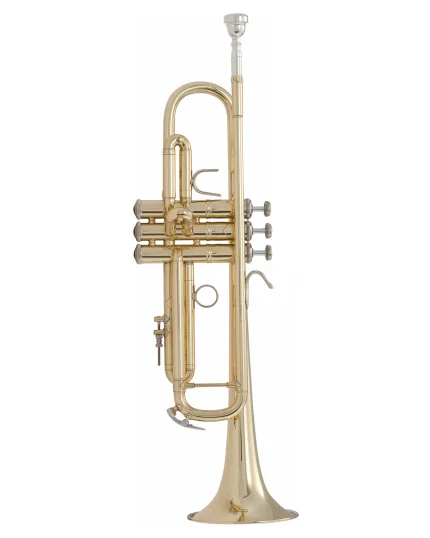 Bach Trumpet LR18072