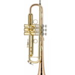 Bach Trumpet LR19043B
