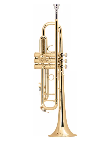 Bach Trumpet LT18072