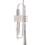 Bach Trumpet LT180S37