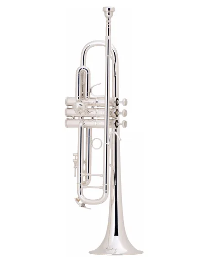 Brass instruments