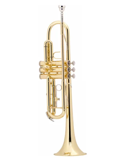 Bach Trumpet TR300H2