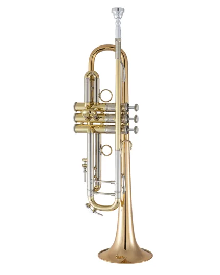 Bach Trumpet 190L65GV