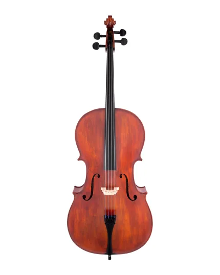 Scherl & Roth Cello SR55