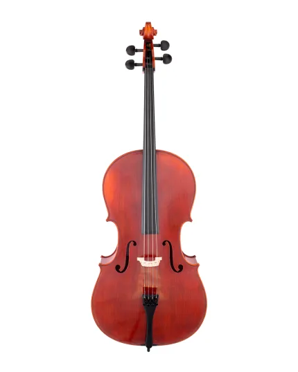 Scherl & Roth Cello SR65