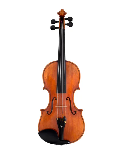 Scherl & Roth Violin SR81G