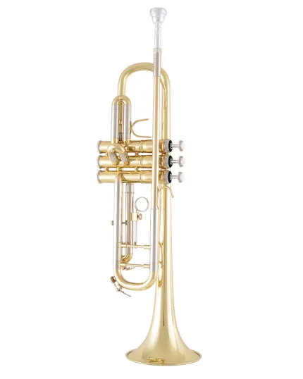 Bach Trumpet in Bb BTR301