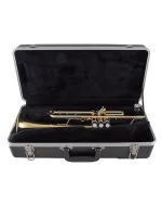 Bach Trumpet in Bb BTR301