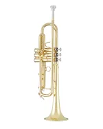 Bach Trumpet in Bb BTR411