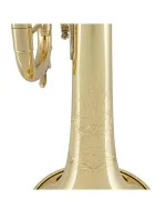 Bach Trumpet in Bb BTR411