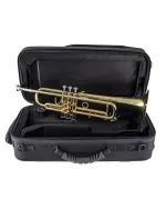 Bach Trumpet in Bb BTR411