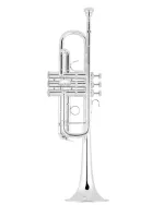 Bach Trumpet C190SL229