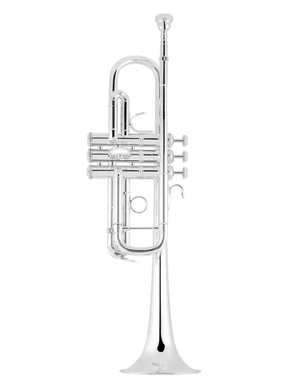 Bach Trumpet C190SL229