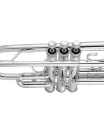 Bach Trumpet C190SL229
