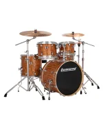 Ludwig Evolution LE520010