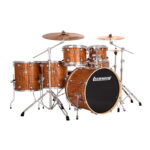 Ludwig Evolution LE622010