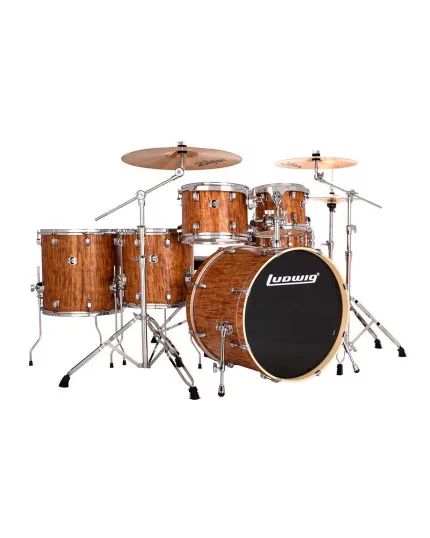 Ludwig Evolution LE622010