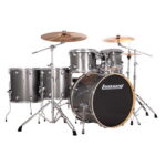 Ludwig Evolution LE622028