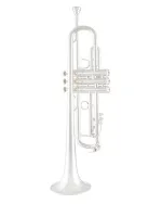 Bach Trumpet LR180S43