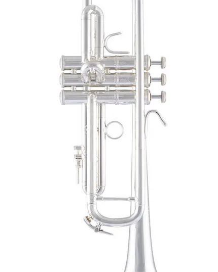 Bach Trumpet LR180S43