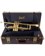 Bach Trumpet LT18077