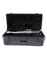 Bach Trumpet TR200S