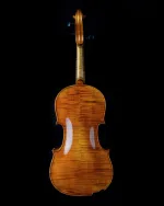 Violin Schönbach Golden/Brown