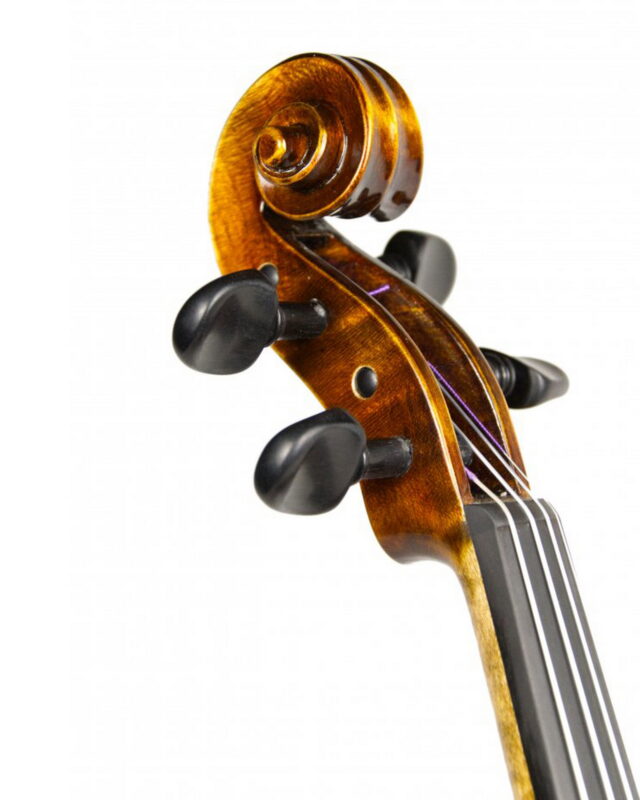 Violin Schönbach Inferno